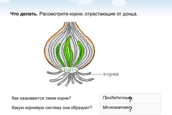 Kraken зеркало рабочее