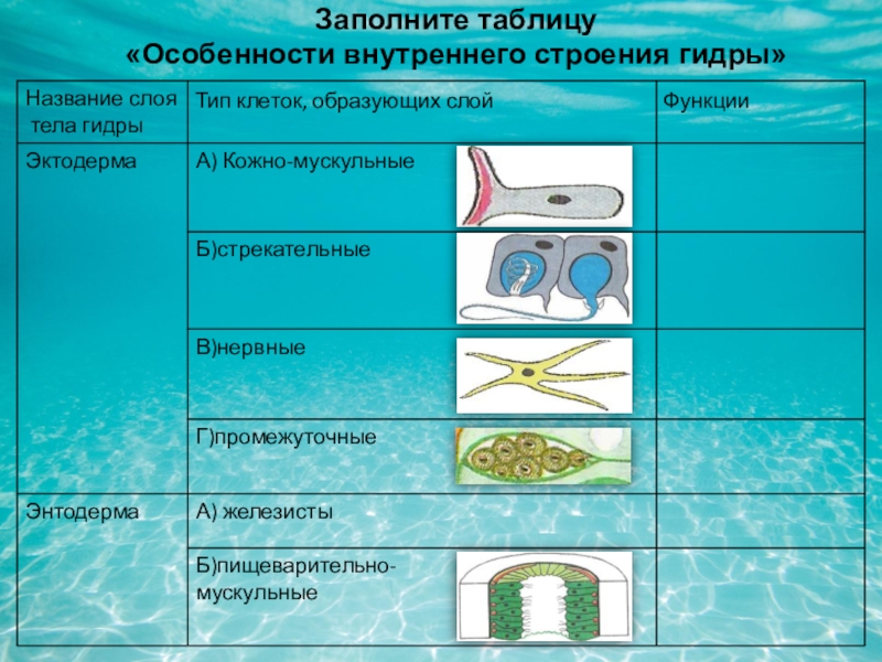 Кракен даркнет рекламы